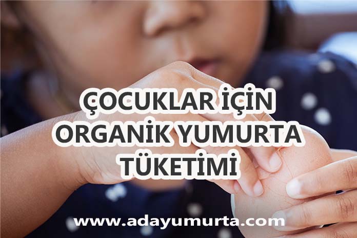 Çocuklar için Organik Yumurta Tüketimi