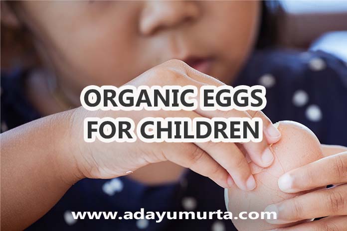 Benefits of Organic Eggs for Children